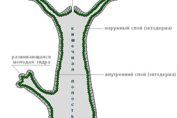 Кракен вход krakens13 at