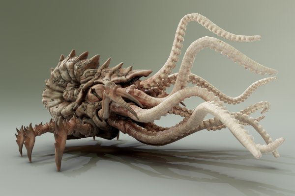 Solaris kraken