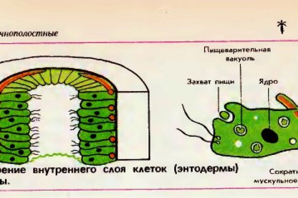 Кракен тг маркетплейс