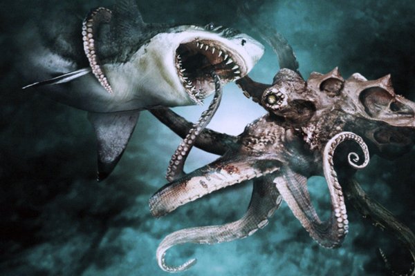Kraken 17at