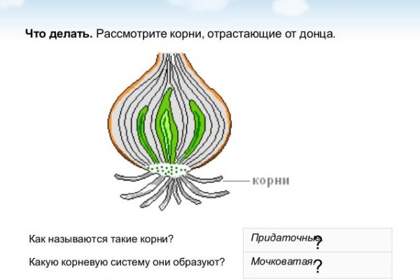 Кракен онион сайт io